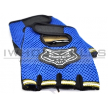 Gloves with Protection (Blue)