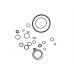 Secutor O Ring Set (8870)